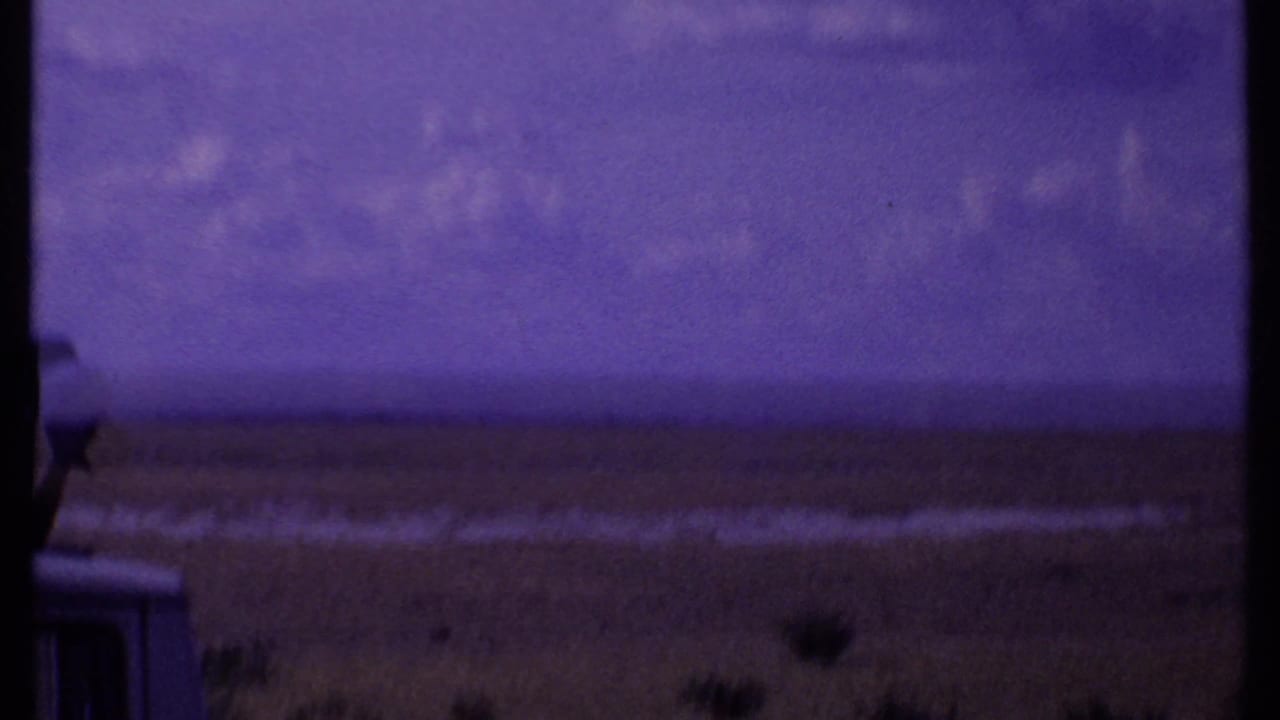 A safari vehicle is partly visible beside open grassland and distant horizon.