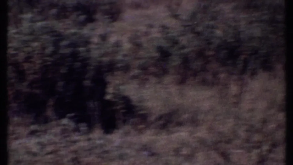 A moving 8mm view of Kenya grassland shows blurred shrubs and dry vegetation passing close to the camera.
