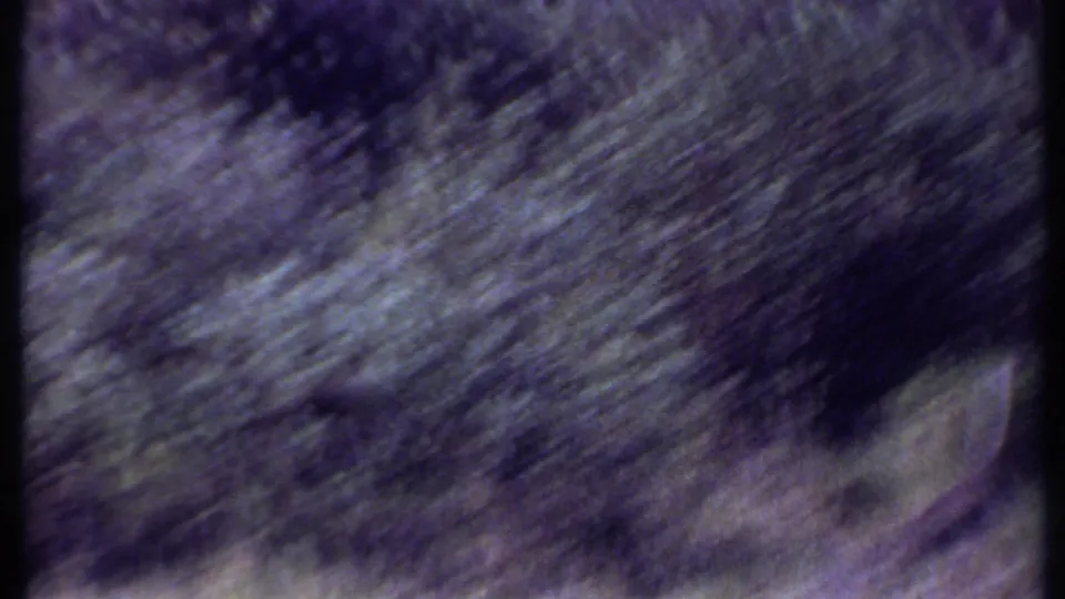 Blurred savanna grass and brush fill the frame during a handheld movement in the Kenya reel.