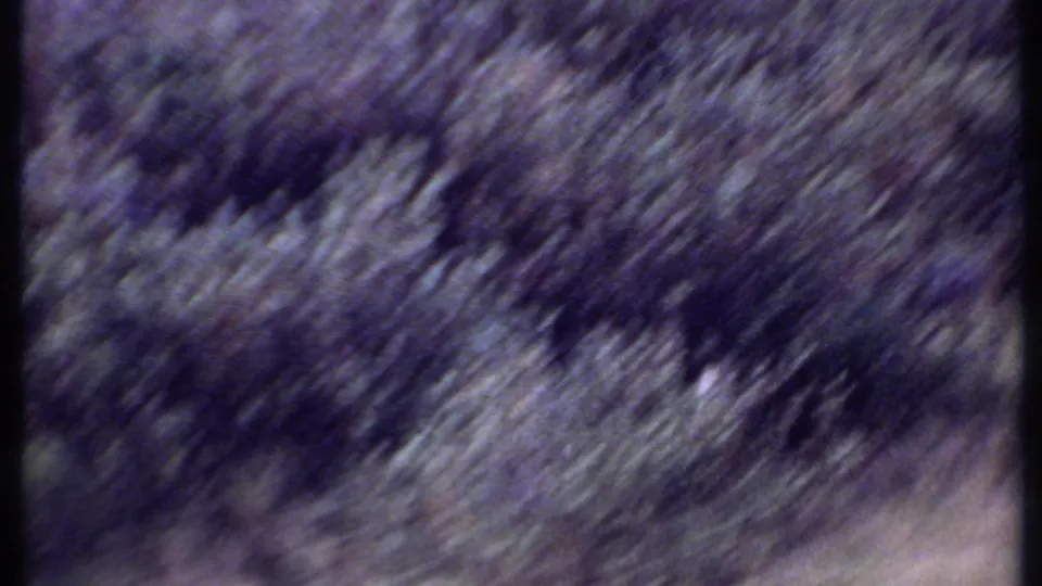 Soft 1969 Kenya 8mm frame of dense savanna grass and brush, heavily blurred by handheld motion or focus.