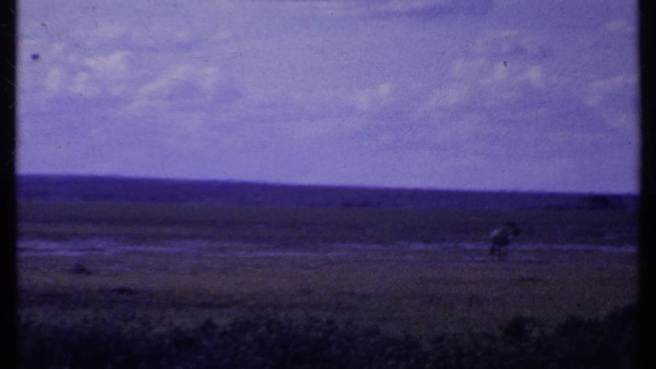 Wide 8mm view of Kenyan savanna in 1969, with distant wildlife visible against low hills and blue-purple sky.
