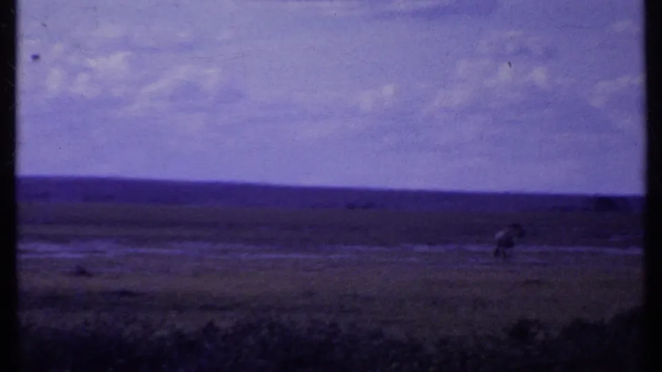 Wide 8mm view of Kenyan savanna in 1969, with distant wildlife visible against low hills and blue-purple sky.