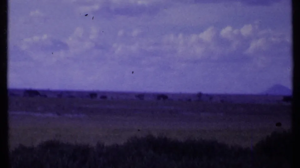 Vintage 8mm Kenya landscape frame showing distant wildlife across a broad grassland under partly cloudy sky.