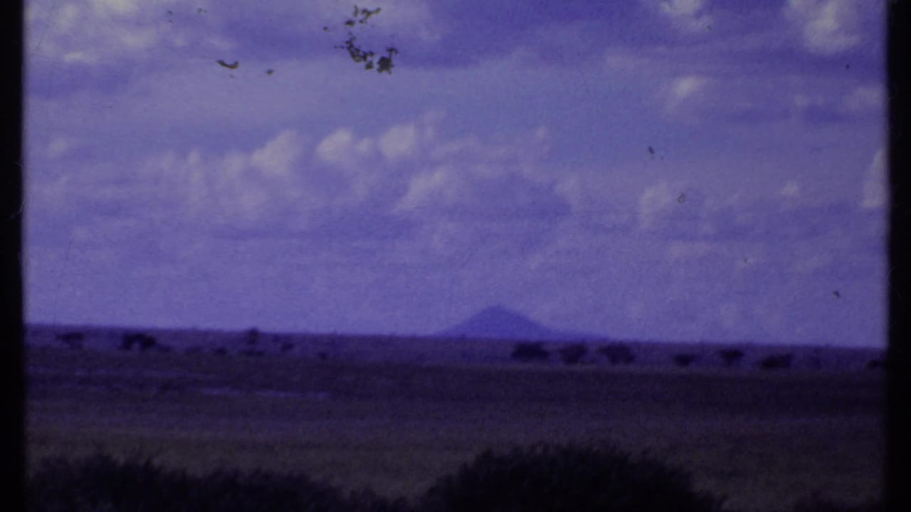 Wide savanna horizon with scattered trees, cloudy purple sky, and distant mountain shape.