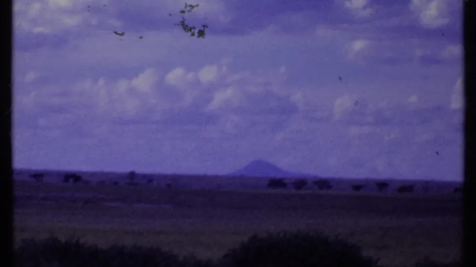 Kenya 1969 8mm frame showing open savanna, low tree silhouettes, purple-shifted clouds, and a distant mountain on the horizon.
