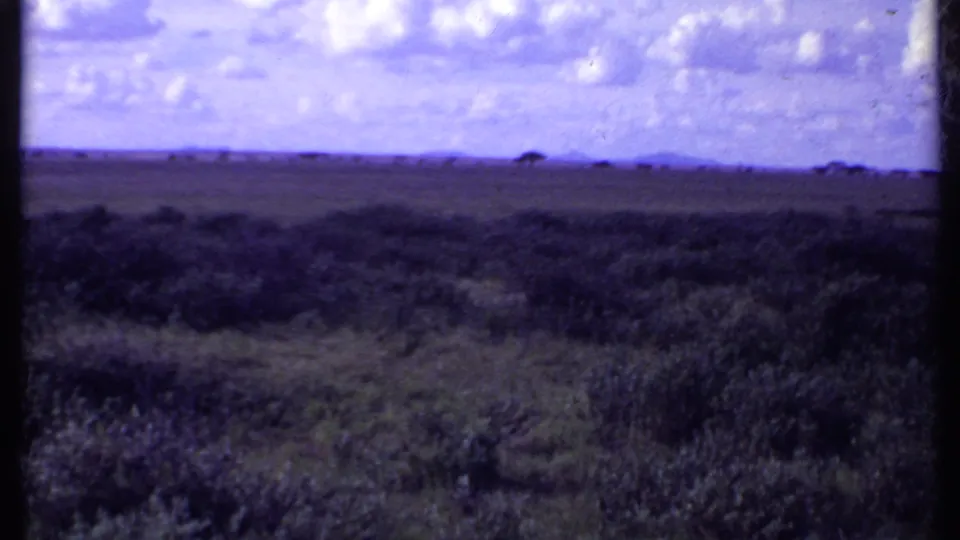 1969 Kenya 8mm frame showing open savanna, low scrub, distant trees on the horizon, and a bright clouded sky.