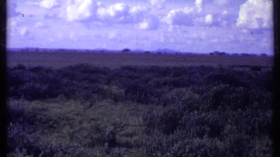 1969 Kenya 8mm frame of a broad savanna horizon with distant trees, cloudy sky, and a dark vertical film or gate mark.