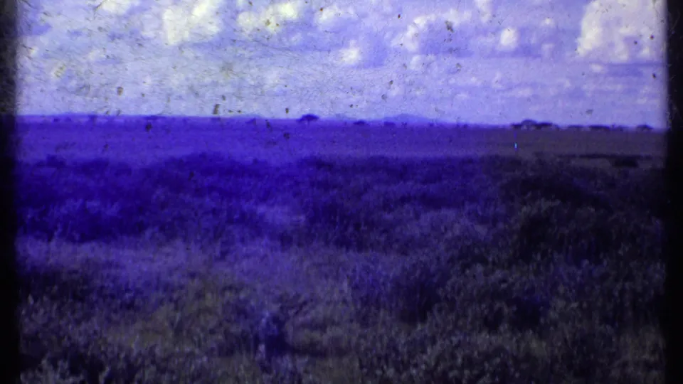 1969 Kenya 8mm frame showing low savanna vegetation, a distant tree line, cloudy sky, and visible aged-film texture.