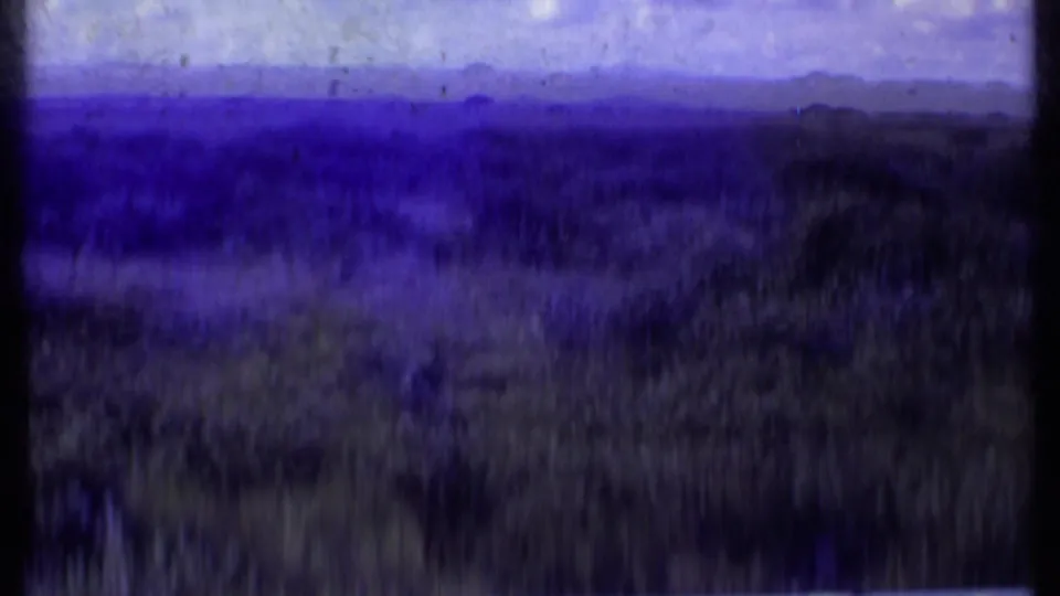 1969 Kenya 8mm frame ending in an abstract blurred savanna view with dark vegetation, horizon shapes, and strong color fading.