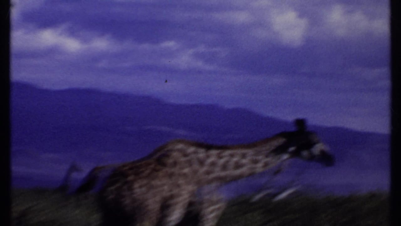 1969 Kenya 8mm frame with a soft, motion-blurred giraffe crossing shrubland before distant mountains.