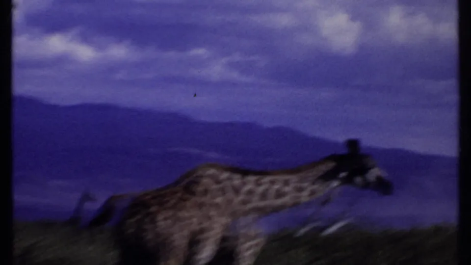 1969 Kenya 8mm frame with a soft, motion-blurred giraffe crossing shrubland before distant mountains.