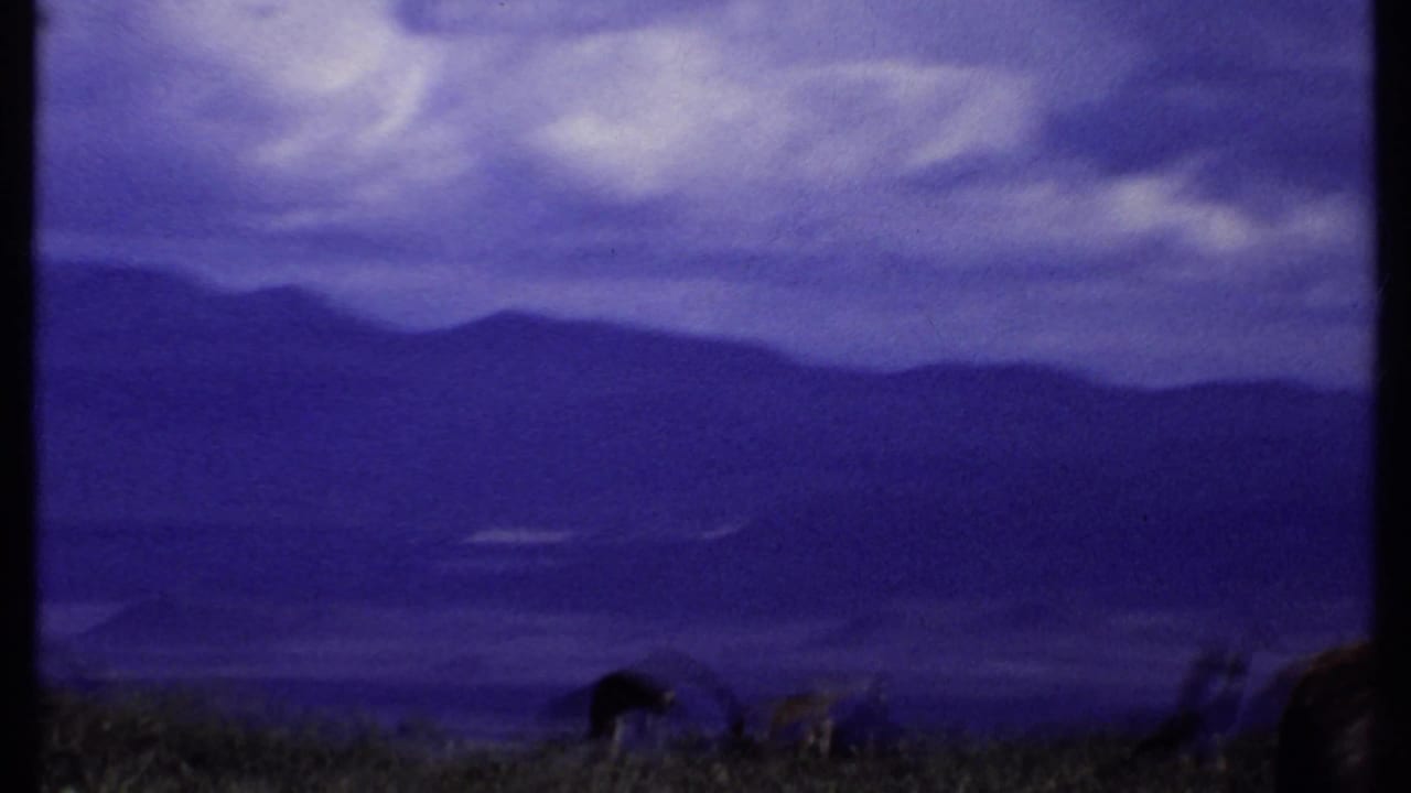 1969 Kenya 8mm frame with very distant animal shapes near the lower edge beneath hazy hills and a purple sky.