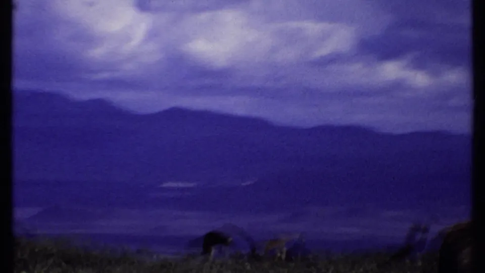 1969 Kenya 8mm frame with very distant animal shapes near the lower edge beneath hazy hills and a purple sky.