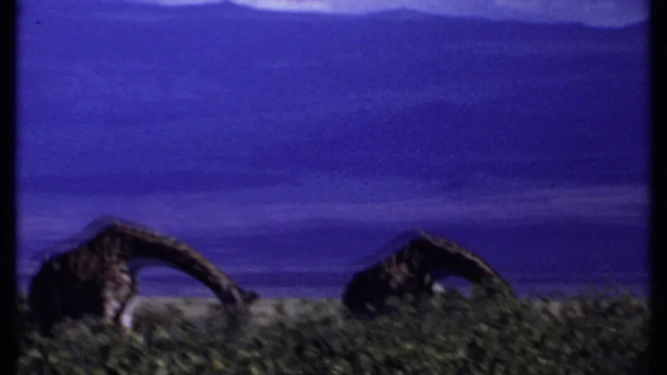 1969 Kenya 8mm frame showing two giraffes bending toward shrubbery on open ground with mountains in the distance.
