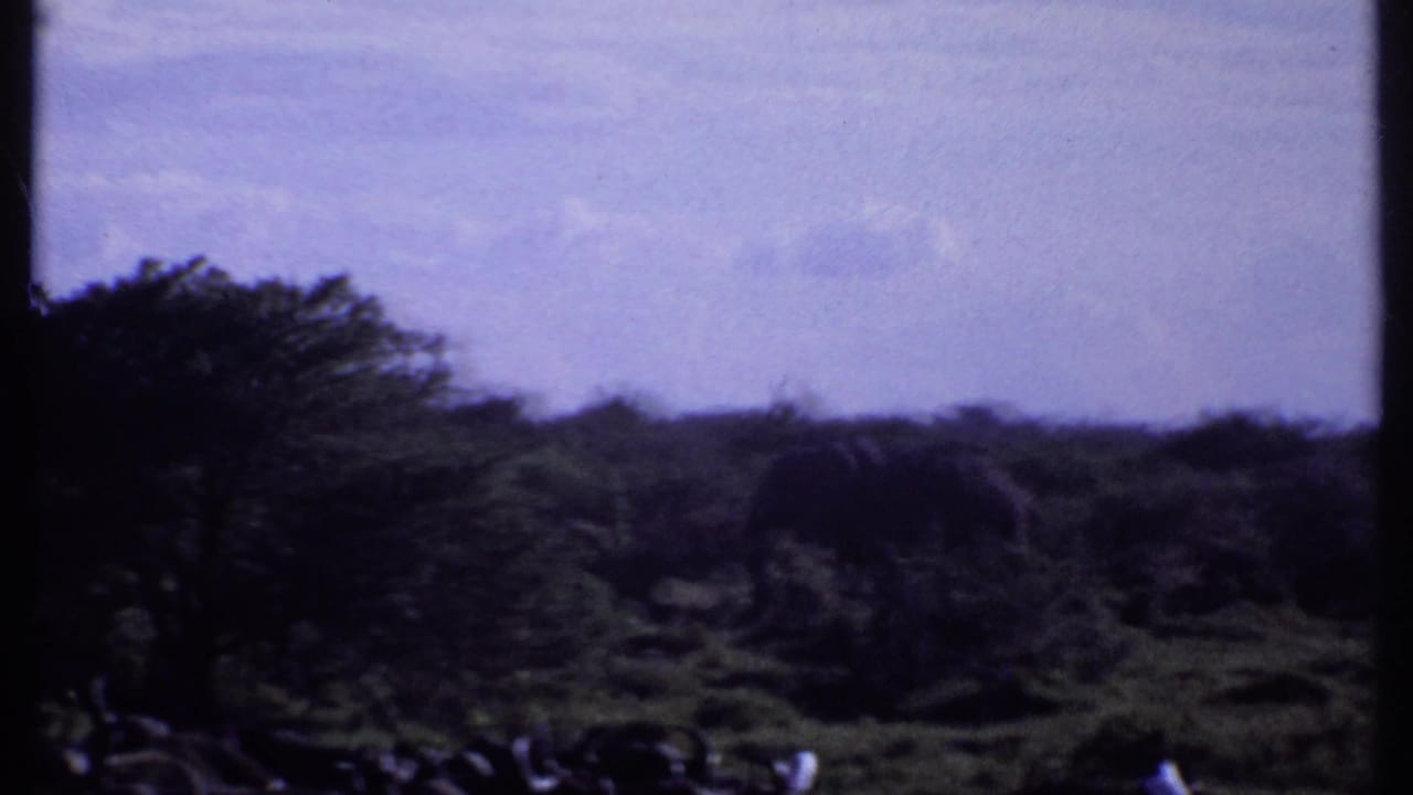 Wide 1969 Kenya 8mm frame showing an elephant-like figure among trees and grass with low hills in the distance.