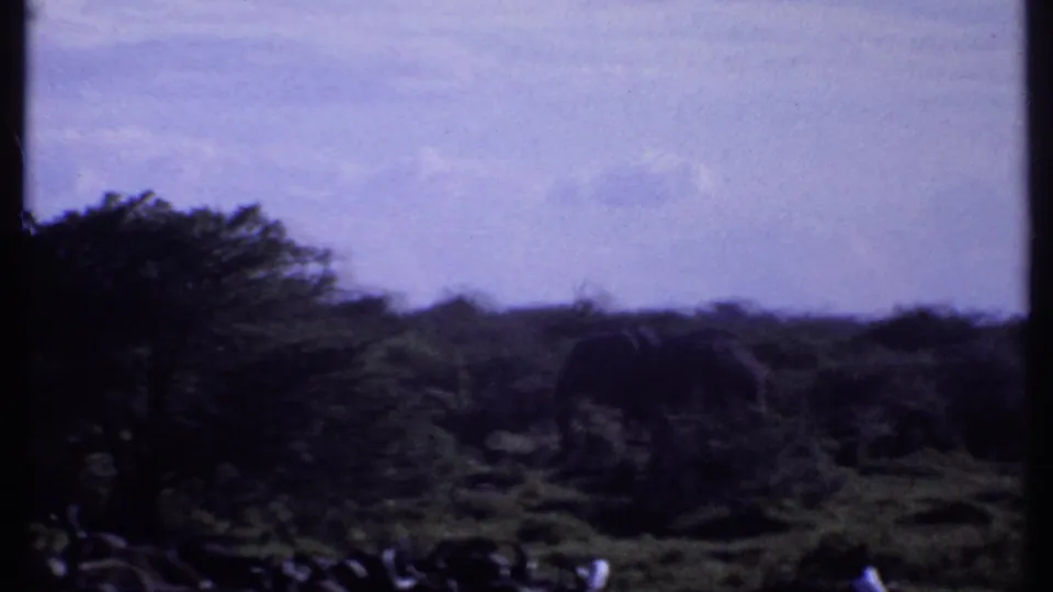 Wide 1969 Kenya 8mm frame showing an elephant-like figure among trees and grass with low hills in the distance.