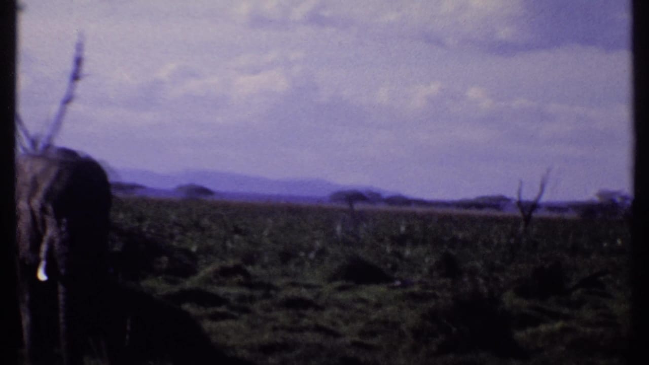 1969 Kenya 8mm frame with the elephant partly cropped at left, showing tusk, trunk, shrubs, grassland, and distant hills.