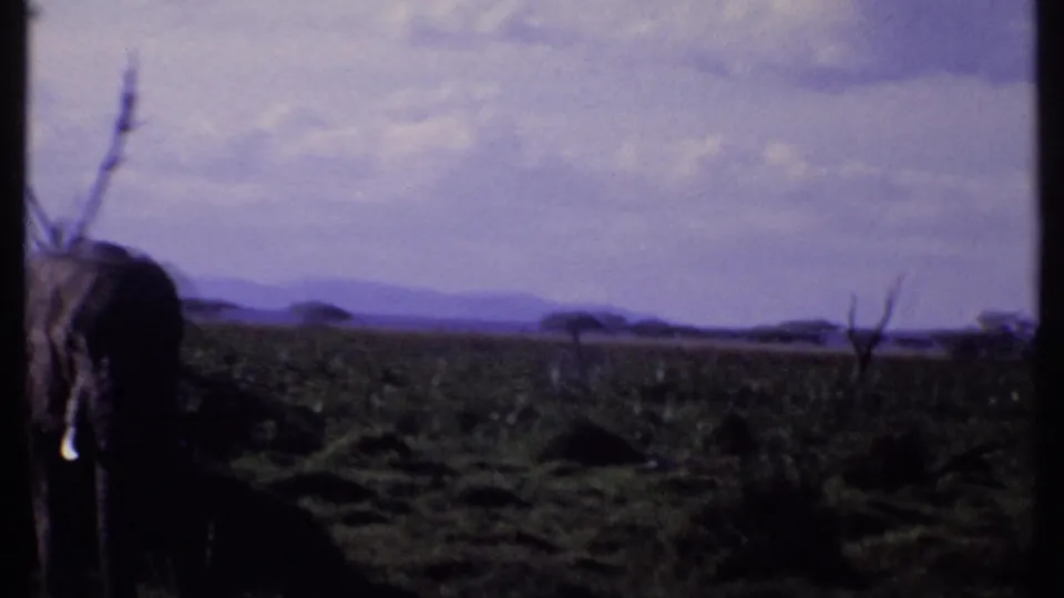 1969 Kenya 8mm frame with the elephant partly cropped at left, showing tusk, trunk, shrubs, grassland, and distant hills.
