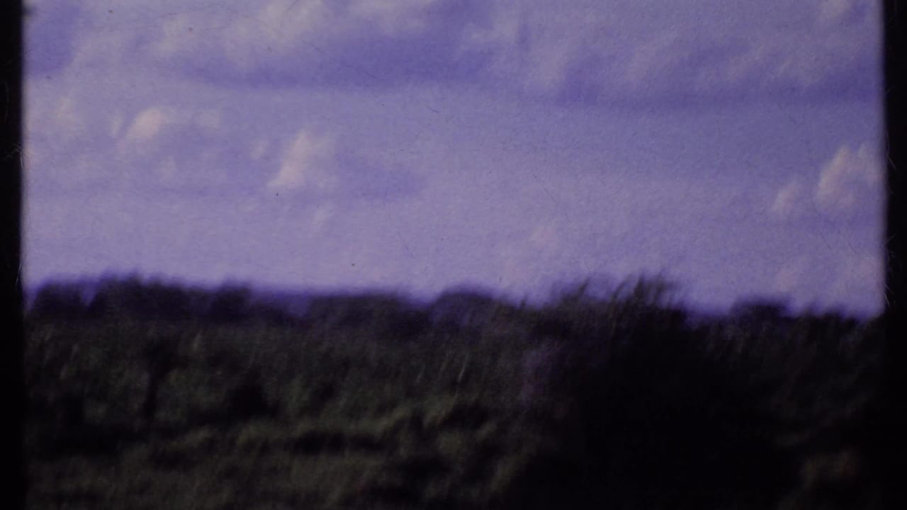 Soft savanna horizon with trees and clouds, divided by dark 8mm film edges.