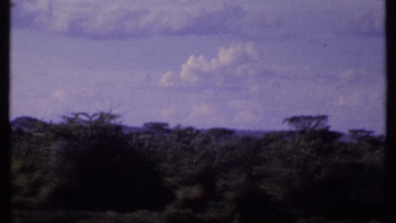 Savanna landscape with dense shrubs, distant trees, and a dark vertical film edge.
