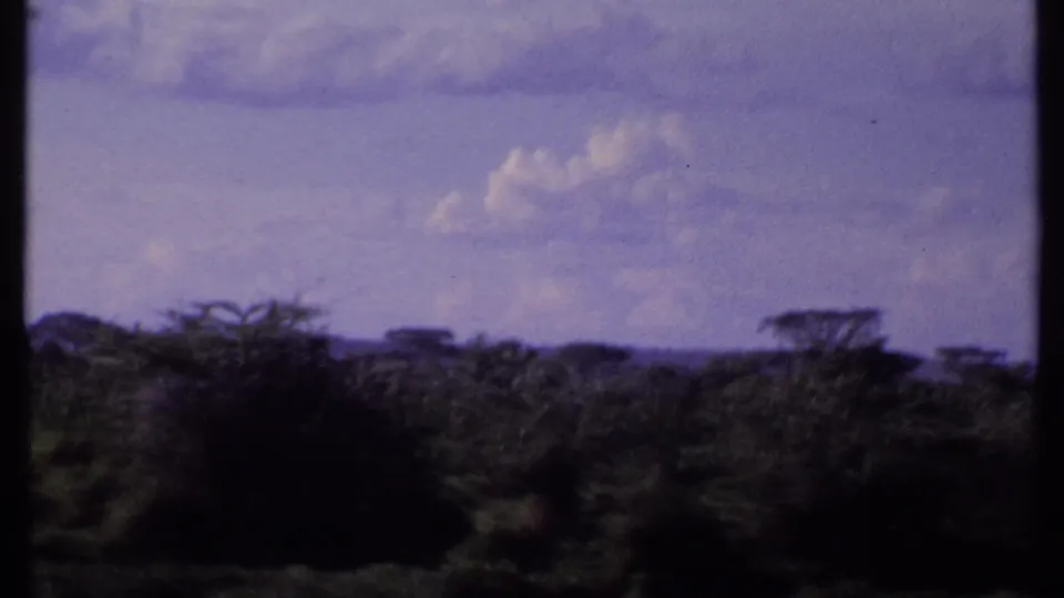 1969 Kenya 8mm frame with dense savanna shrubs, distant acacia-like tree shapes, clouded sky, and a dark vertical film-frame edge.
