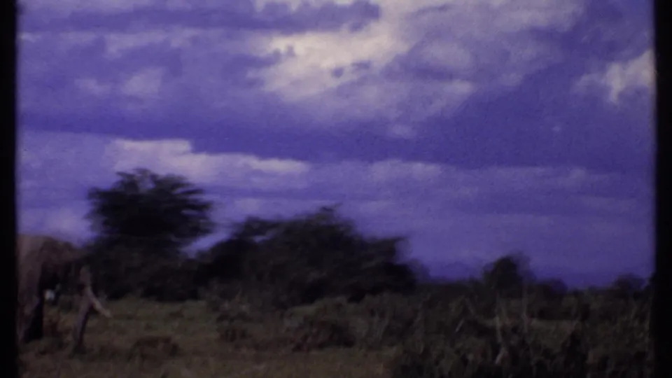 1969 Kenya 8mm frame showing part of an elephant near scrub and trees under a saturated purple-blue overcast sky.