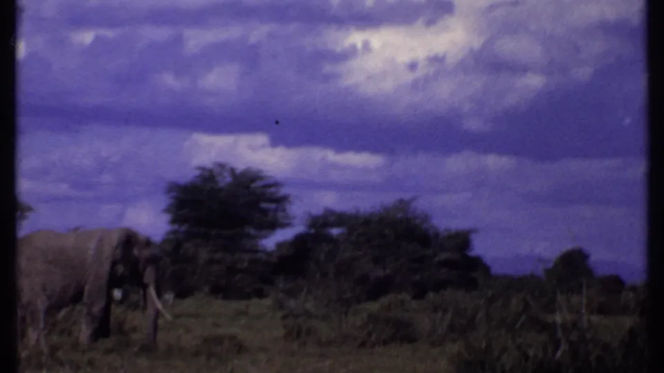 1969 Kenya 8mm frame showing an elephant near the left edge of open grassland with shrubs and a dark clouded sky.