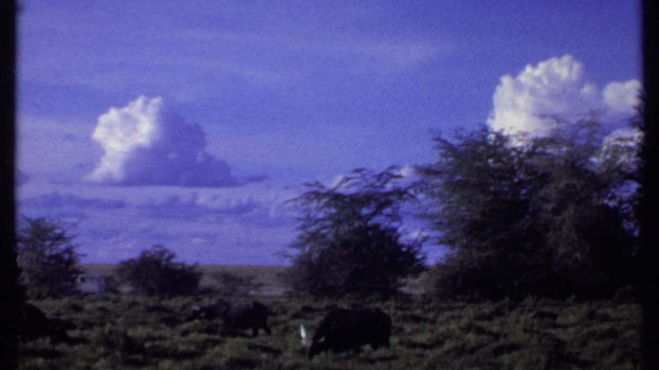 1969 Kenya 8mm frame looking across open savanna with grazing animals, trees, distant haze, and tall white clouds.