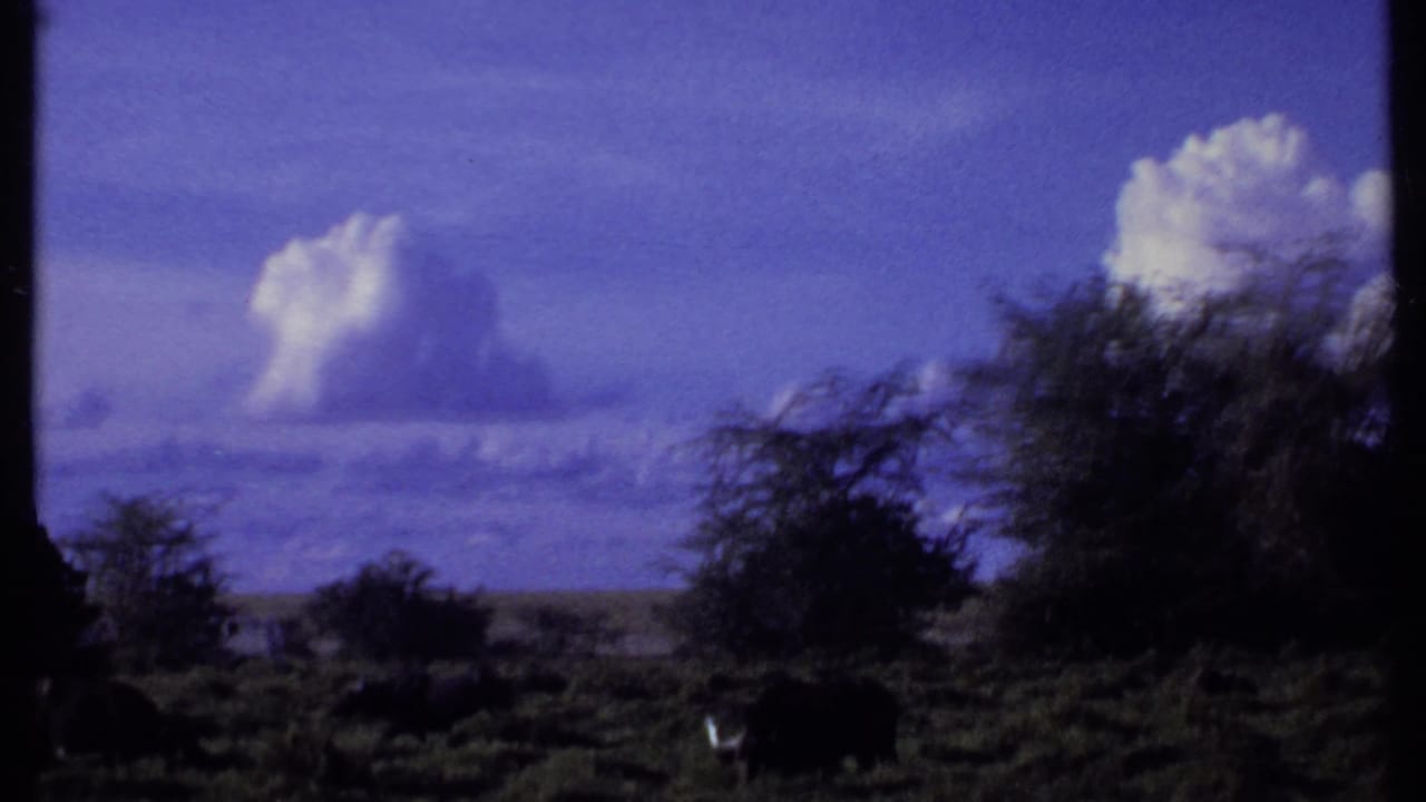 1969 Kenya 8mm frame of open savanna with dark grazing animals, scrub trees, distant terrain, and bright cloud formations.