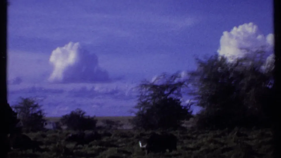 1969 Kenya 8mm frame of open savanna with dark grazing animals, scrub trees, distant terrain, and bright cloud formations.