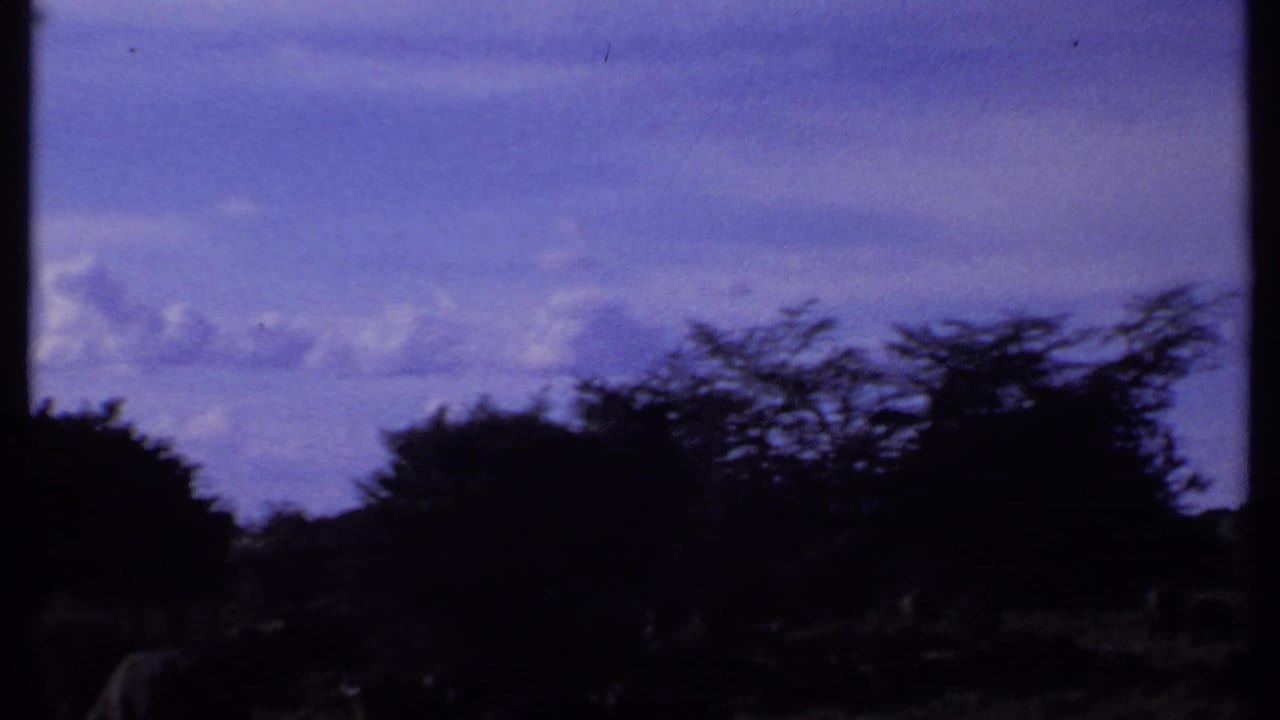 1969 Kenya 8mm frame showing dark savanna trees and low grass, with wildlife shapes hard to distinguish.