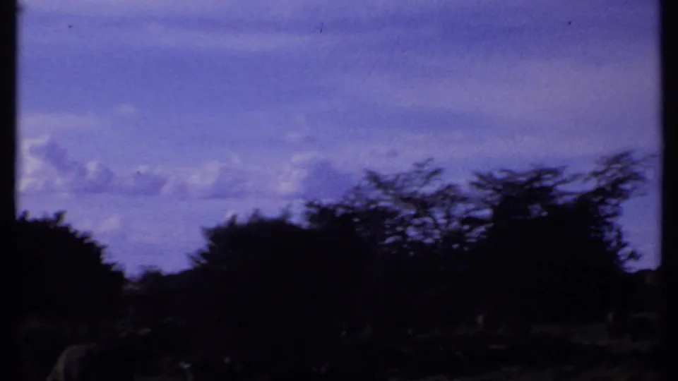 1969 Kenya 8mm frame showing dark savanna trees and low grass, with wildlife shapes hard to distinguish.