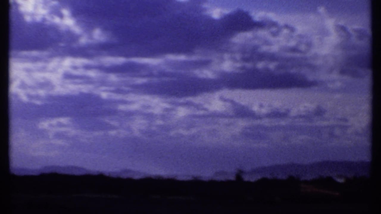 Purple clouded sky above a dark savanna horizon.