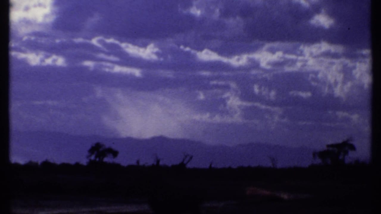 Cloudy purple sky with distant hills and silhouetted trees.