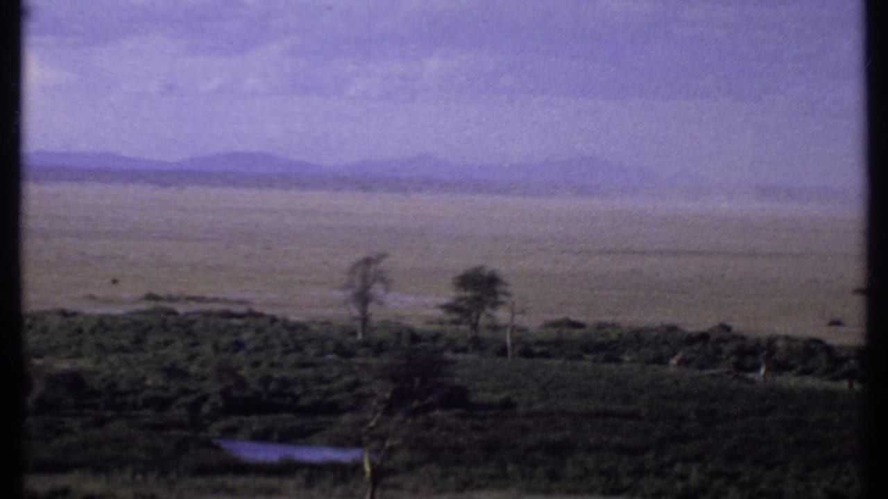 1969 Kenya 8mm frame looking across open savanna, scattered trees, a small waterhole, and hazy distant hills.