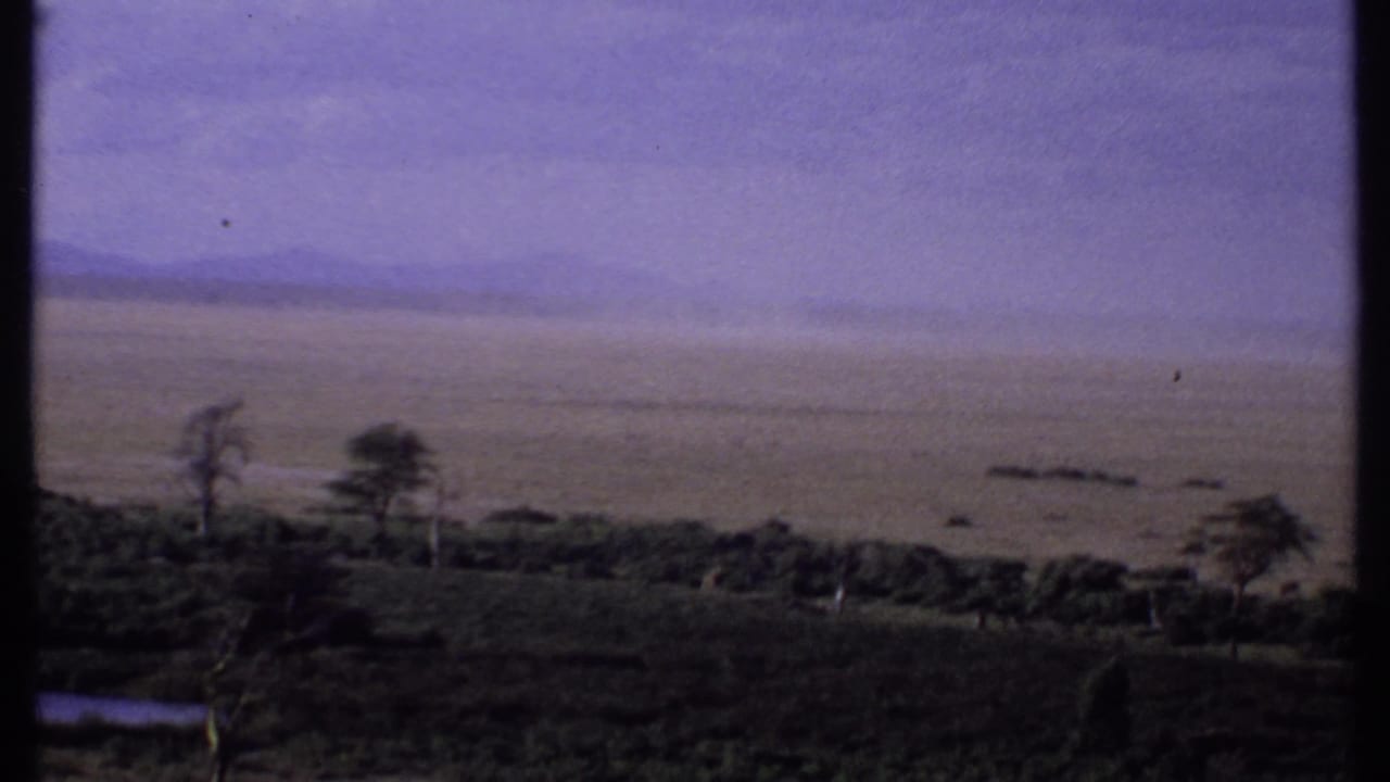 1969 Kenya 8mm frame showing a wide savanna plain with sparse trees, low scrub, and pale hills in the distance.