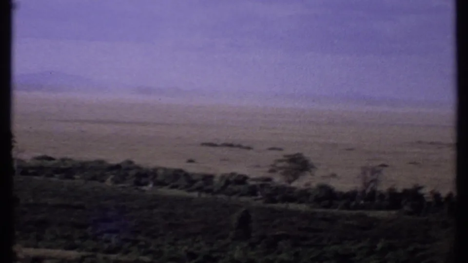 1969 Kenya 8mm frame showing a broad savanna plain under a purple-tinted sky with silhouetted trees in the foreground.