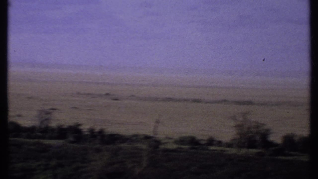 1969 Kenya 8mm view of an expansive savanna horizon with dark tree silhouettes and muted earth tones.