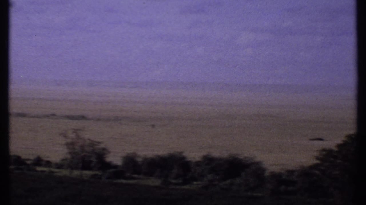 1969 Kenya 8mm frame with a broad flat plain, purple sky cast, and sparse trees along the lower foreground.