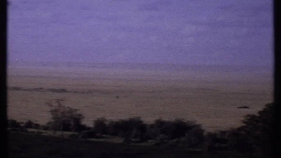 1969 Kenya 8mm frame with a broad flat plain, purple sky cast, and sparse trees along the lower foreground.