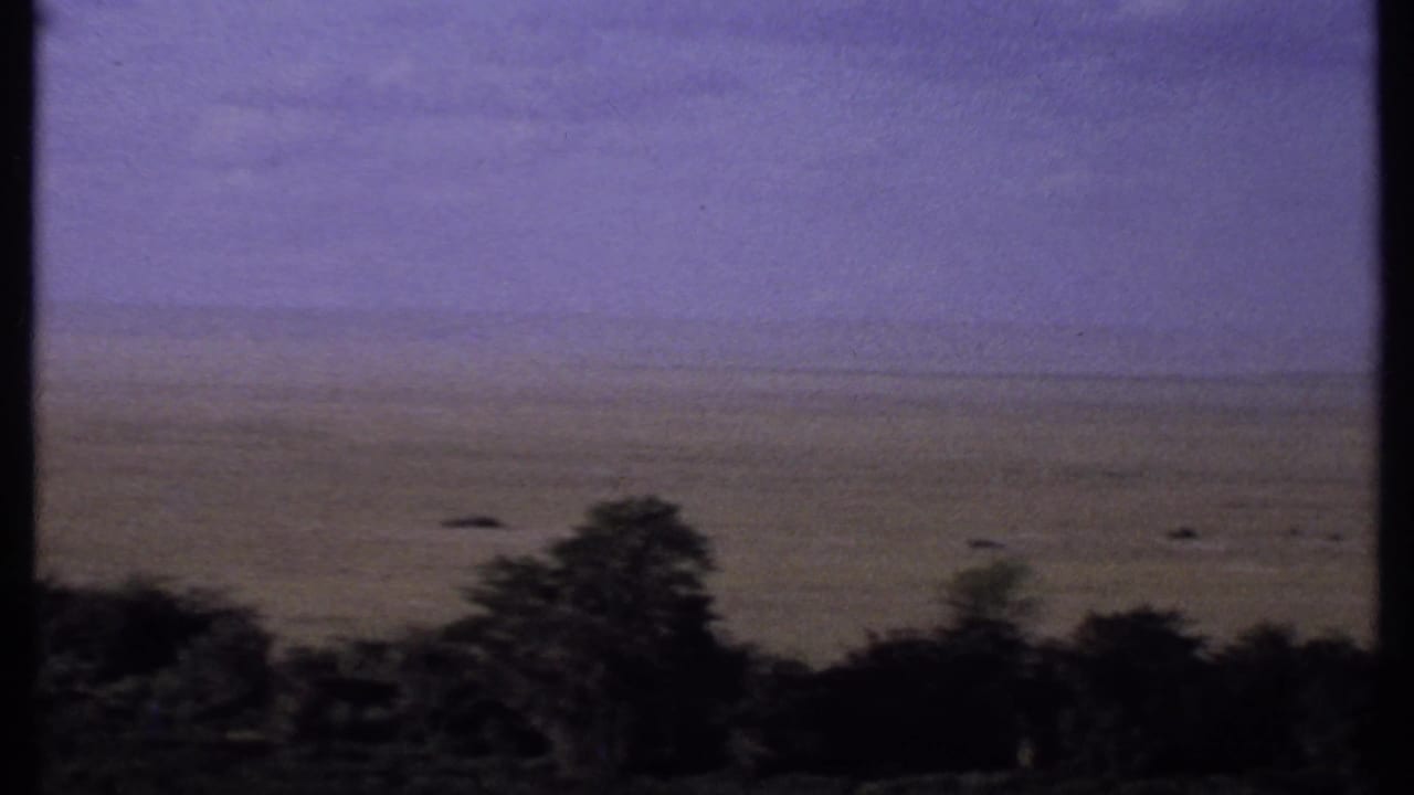 1969 Kenya 8mm frame showing a distant plain under a purple-tinted sky with a large dark tree in the foreground.