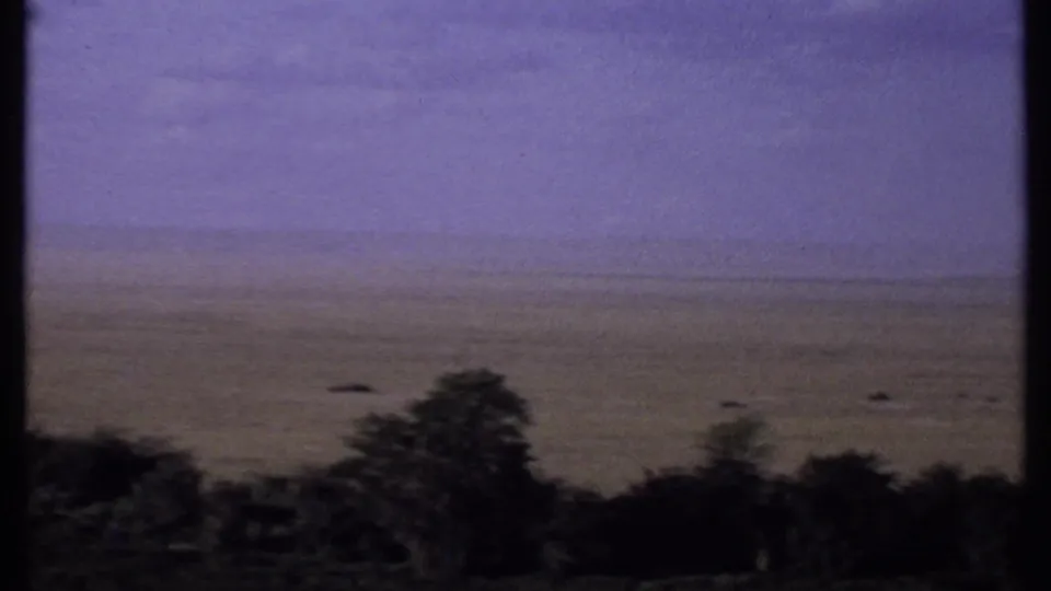 1969 Kenya 8mm frame showing a distant plain under a purple-tinted sky with a large dark tree in the foreground.