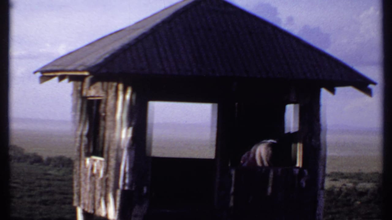 1969 Kenya 8mm frame of a wooden lookout shelter, open window, and visitor leaning near the entrance.