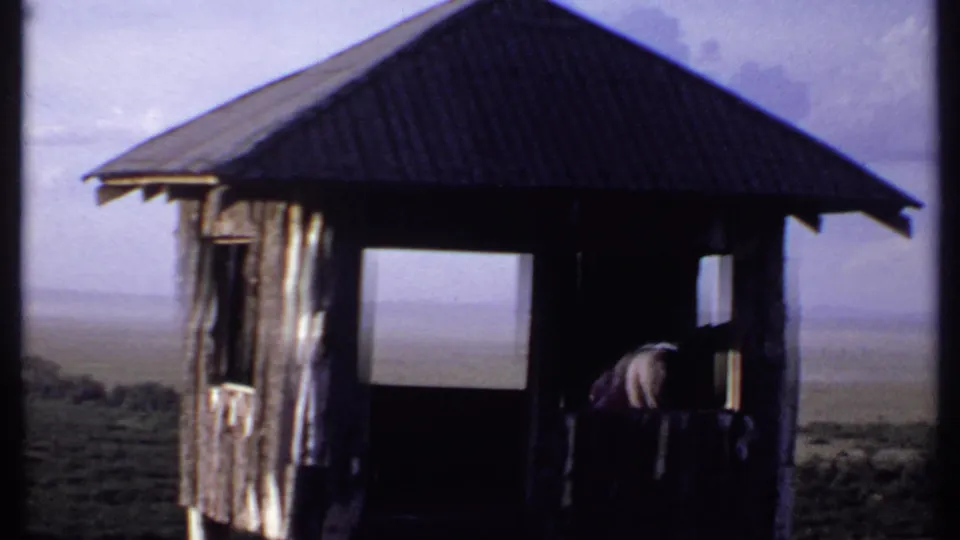 1969 Kenya 8mm frame of a wooden lookout shelter, open window, and visitor leaning near the entrance.