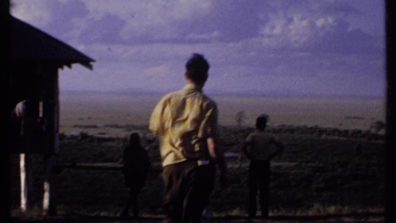 Several people stand at a railing and look over a broad distant landscape.