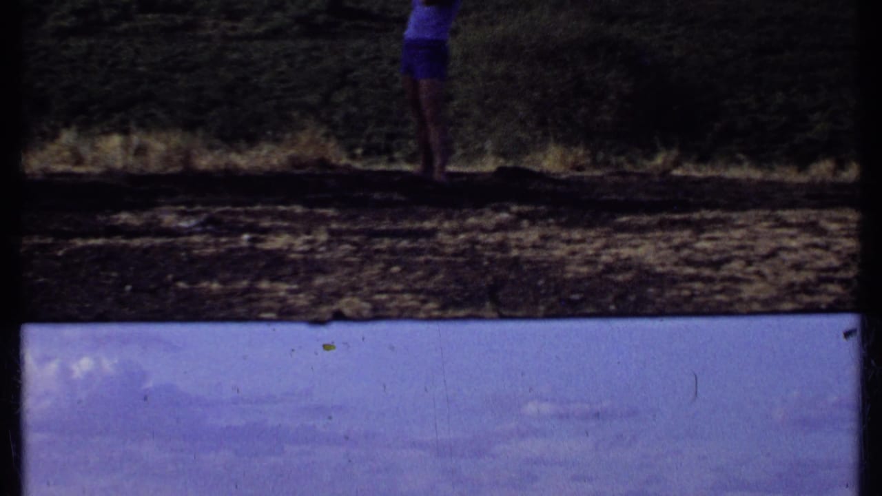 Two rhinoceroses in a dry landscape below a blue sky, with partial human legs visible at the top.