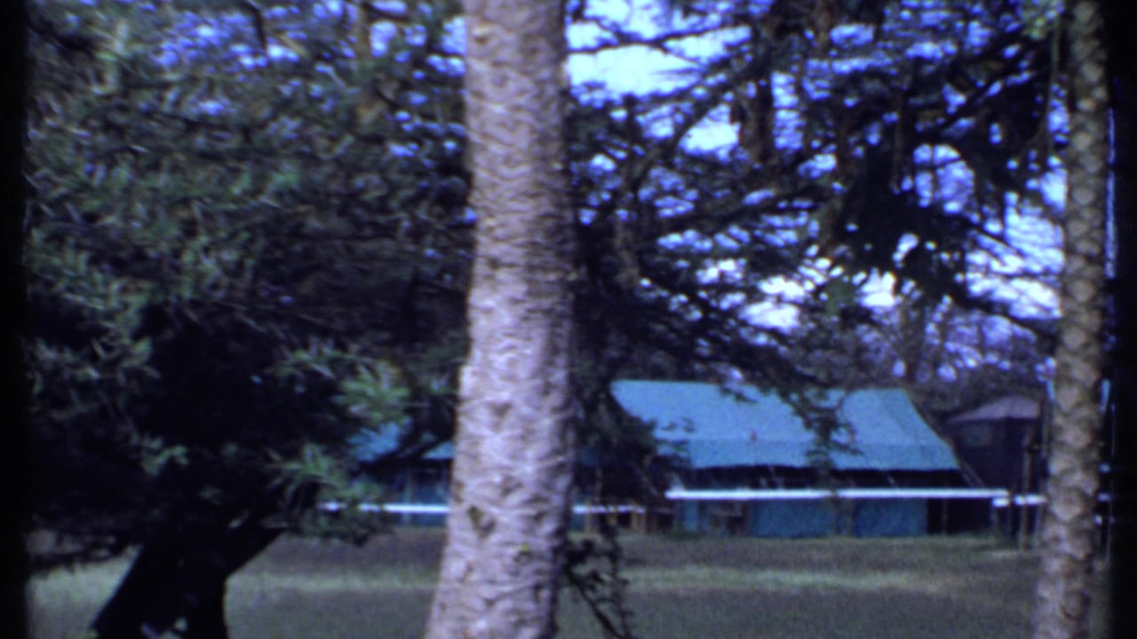 A 1969 Kenya safari-camp view shows trees and foliage framing low green-roofed buildings across a grassy clearing.
