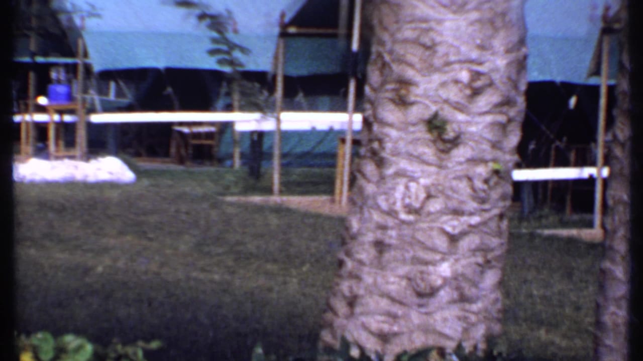 1969 Kenya home-movie frame showing tree trunks, lawn, and a canvas-roofed outdoor structure beyond the garden.
