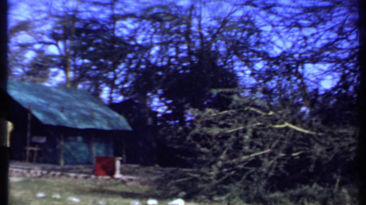 Green-roofed shelter among trees with shrubs and a red object in front.