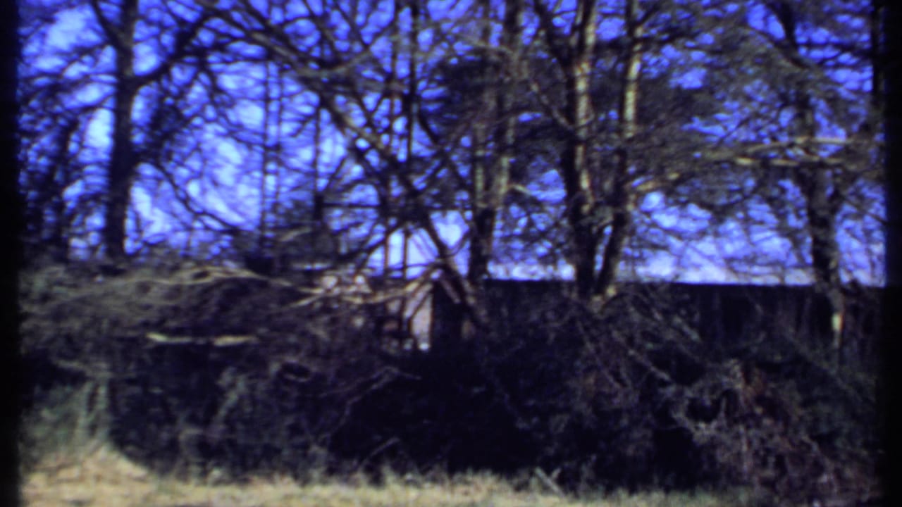 1969 Kenya 8mm frame showing tangled garden vegetation, tree trunks, and a partially hidden low structure beyond the shrubs.
